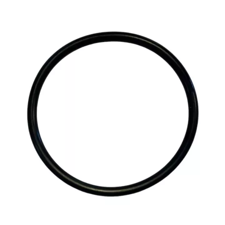 - Joint torique (55 x 2.5 )